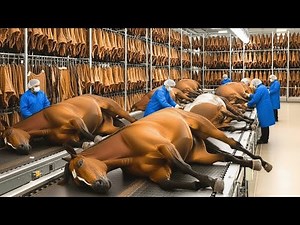 Inside Modern Horse Leather Factory From Raw Horse Skin to High End Fashion Full Process
