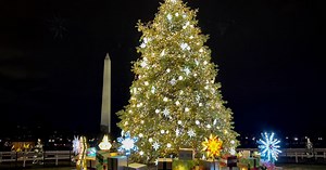 Winds topple National Christmas Tree