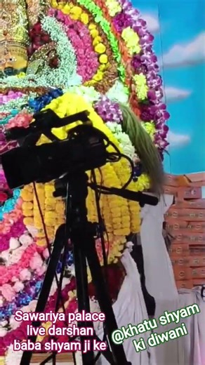 🌹#Sona ji sona mera shyam ni main vari java 🙏#jaishreeshyam baba ke charno me hazri #comment