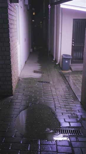 Perfect Rain Drip Loop Hypnotic Alley Rhythm