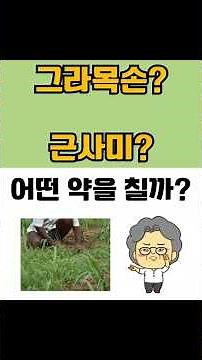 그라목손 VS 근사미 제초제 어떤 것을 사용하면 좋을까?