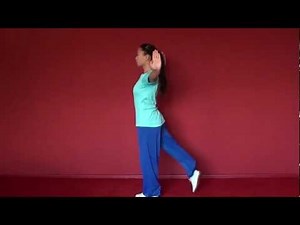 WUSHU TUTORIAL: Front Stretch Kick