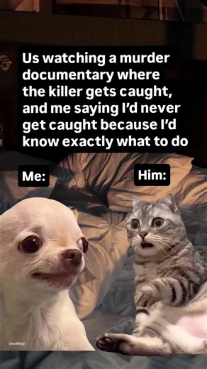 Evil Dog Meme Page: Your Source for Dark Humor