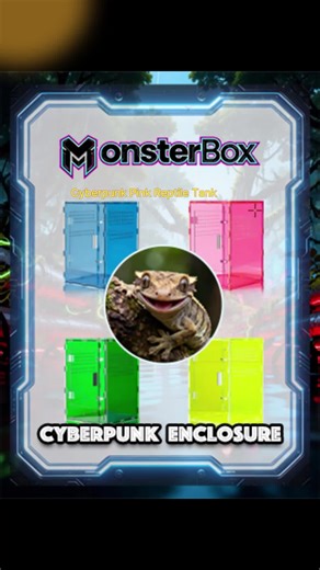 8x8x12 Acrylic Reptile Tank Cyberpunk Pink Terrarium Enclosure for Crested Geckos & Small Pets with Tropical Rainforest Inspired Design #reptile #reptilelover