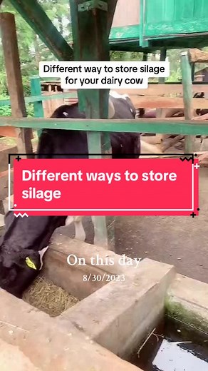 Farm with paul on TikTok