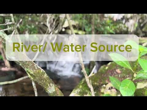 Africa’s most adaptable Primate | Part 1: Yellow baboon habitat