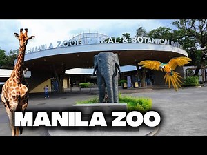 WHAT'S NEW Inside Manila Zoo & Botanical Garden 4K 2025 Animals Tour