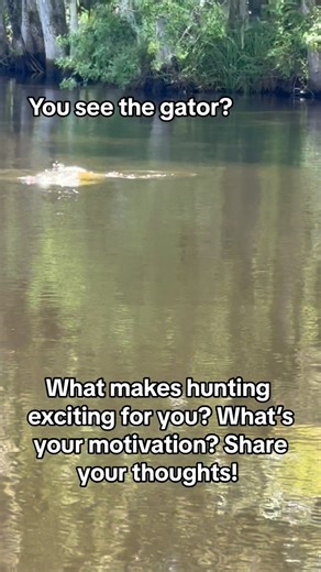 1.3K views · 26 reactions | What makes hunting exciting?? What’s the motivation behind the hours spent in the woods? 旅 Let’s hear your thoughts below! ⬇️ We’ll pick our favorite answer and send you a GCO tshirt  . #gcohunts #hunting #motivation #lifestyle #huntinglife #hunters #florida #floridahunting #southernliving #shareyourthoughts #thankful #floridahunting #huntflorida | God's Country Outfitters | Facebook