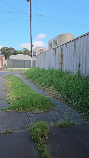 Transforming an Overgrown Yard | Lawn Care and Maintenance