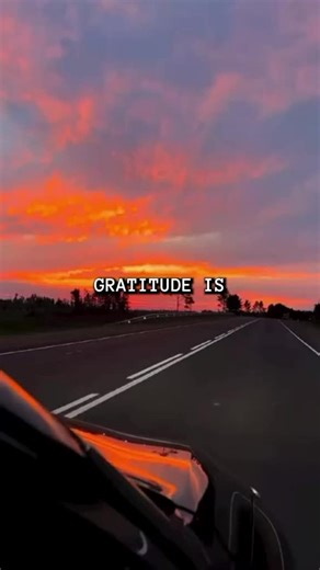 Gratitude and Visualization: Cultivating a Positive Mindset
