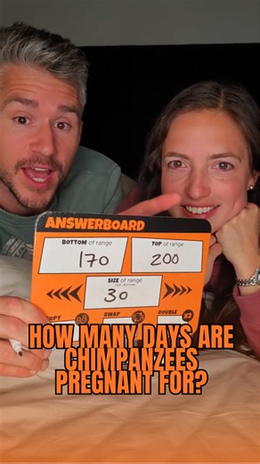 Guess the Duration: How Long Are Chimpanzee Pregnancies?