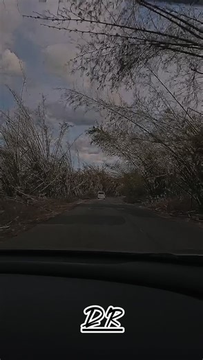 Inpha Reblitive: Building Back through Dancehall