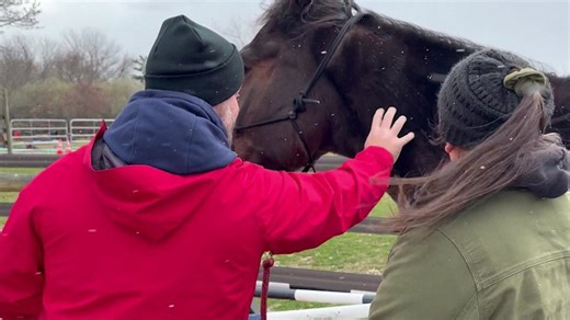 Nonprofit helps veterans with PTSD bond with rescue horses