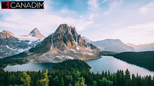 Want to work and live in Canada in 2020? Canada is looking for skilled workers like YOU! Discover your eligibility for Express Entry 🇨🇦 | Canadim - Canadian Immigration Law Firm