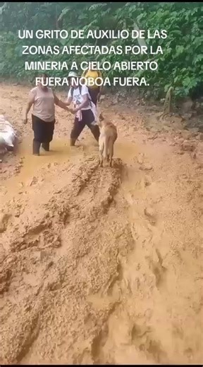 Videos de Vector ludena (@vector.ludena) con “sonido original - Vector ludena”