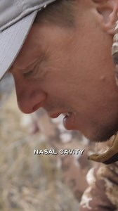 226K views · 2.6K reactions | Bot flies have a tendency give you a good jump during the butchering process, but they have no negative impacts on the meat from what we can tell. | MeatEater | Facebook