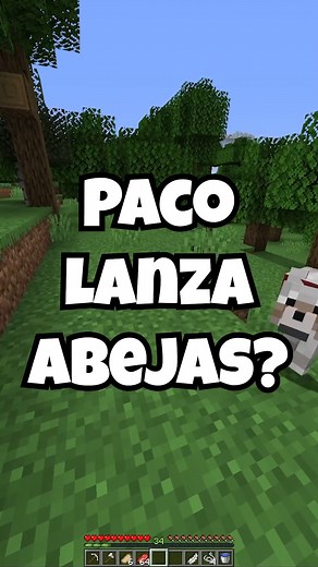 64K views · 2.6K reactions | Paco poco a poco se vuelve Dios #minecraft #minecraftshorts #humor #humorviral #mods #bromas #perros | EdaEsvila | Facebook