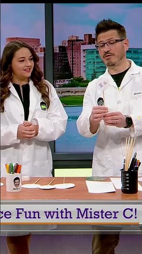 Butterfly Thaumatrope #science #film #experiment