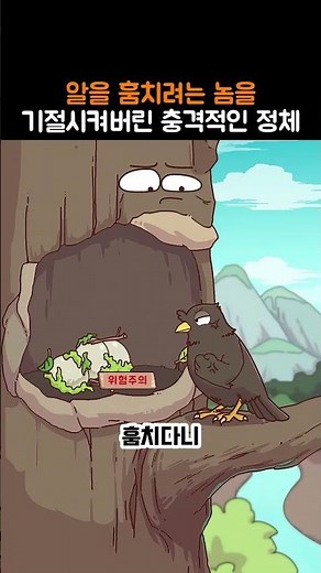 알을 훔치려는 놈을 기절시켜버린 충격적인 정체...... 큰뿔솔딱새의 뱀허물