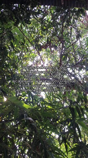 #lyrics #xyzabca #viral #foryou #crd | song with lyrics