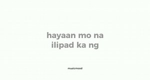 414K views · 16K reactions | co pilot - Jhaylou Àdorable | 홈홪홨홞환홢홤홤홙. | Facebook