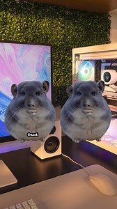 961 reactions · 120 shares | I spent 3 hours hand drawing and animating a chinchilla dancing... | NZXT | Facebook