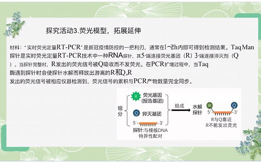 荧光定量RT-PCR原理讲解及例题解析