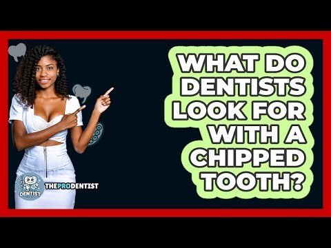 What Do Dentists Look For With a Chipped Tooth?