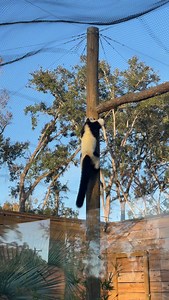 5.2K views · 395 reactions | Watch Anja and Raina, two of our...