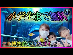 琵琶湖博物館③（滋賀県）えっ⁉️ここ水族館なの⁉️トンネル水槽に大興奮の子どもたち！