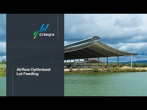 Airflow Optimised Lot Feeding | Elbow Valley Beef