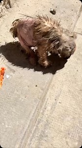 133K views · 5.3K reactions | Essere indifferenti non è mai stato...