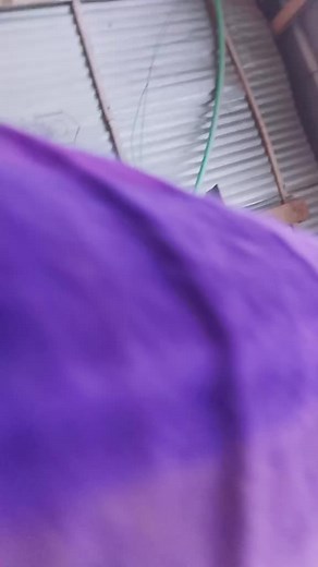 tusion ja raha hai????