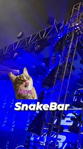 Nuevo modelo disponible 🥵 | DMX Home Mexico