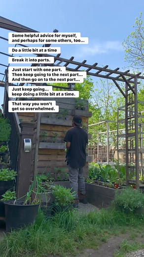 64K views · 762 reactions | I keep reminding myself this. #doalittlebitatatime #gardenwork | Plantedinthegarden | Facebook