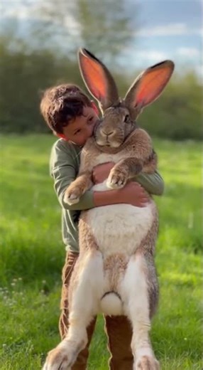 Kid Holding a Rabbit as Big as He Is—Snuggling Nonstop, Heart-Melting 🐰✨