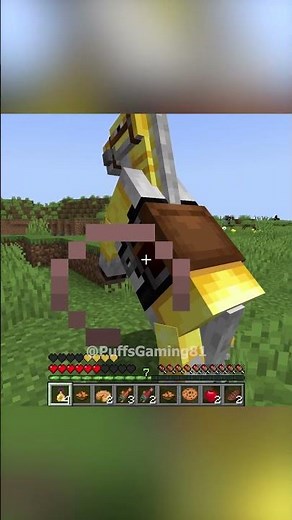 Lucky Potion Puff 1V1 #minecraft #shorts