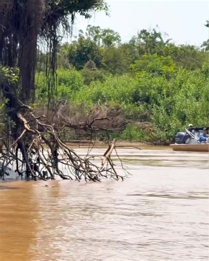 Exploring the Untamed Wilderness and Wildlife