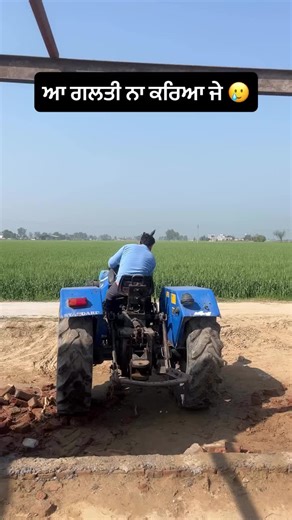 Life on a Hen Farm in the Village