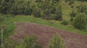 Orienteering athletes, orienteering, rogaine, runners with a map, orienteering competitions