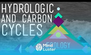 Mind Luster - Learn The Hydrologic and Carbon Cycles Always Recycle Crash Course Ecology 8