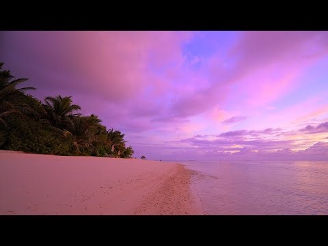🏝 Beach Screensaver From a Tropical Remote Island Paradise