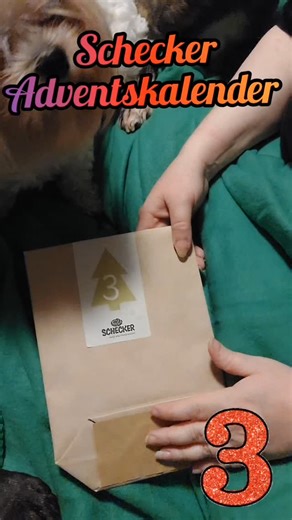 @schecker.de Adventskalender Tag 3 #dog #dogsofinstagram #hund #dog #adventskalender #adventskalenderfürhunde #hundeadventskalender #unboxing #tag3 #türchen3 | Bettina Sheridan