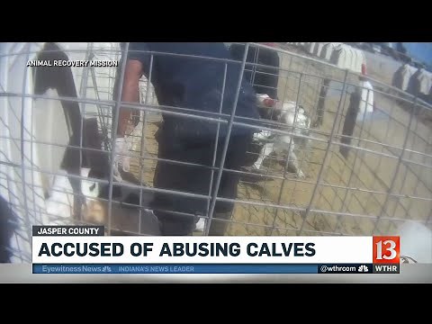 Fair Oaks Farm Animal Abuse