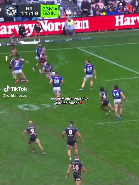 Critta at the Pahs: A Heartfelt Journey ❤️🐾