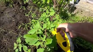 ラクに雑草を引っこ抜く! ムサシ 除草バイブレーターがすごかった