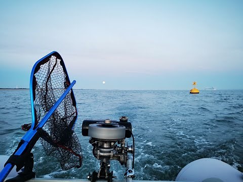 Death To Life. Seagull 40 Plus Outboard Engine Repair.