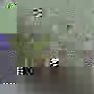 4.7K views · 26 reactions | Develop advanced skills and competencies...