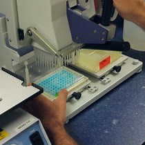 Video: Scalable High Throughput Selection From Phage-displayed Synthetic Antibody Libraries