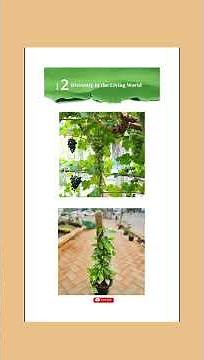 Part 5 | Class 6 Science | Diversity in the living world | New Curiosity Book